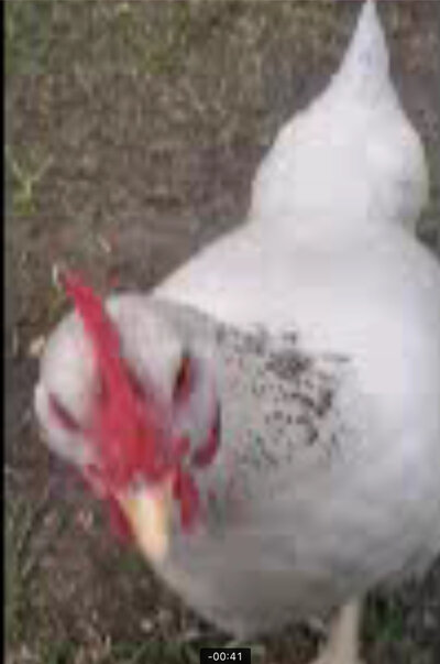 0576A284-A2FE-449C-BEED-0A9EC26BE078.jpeg