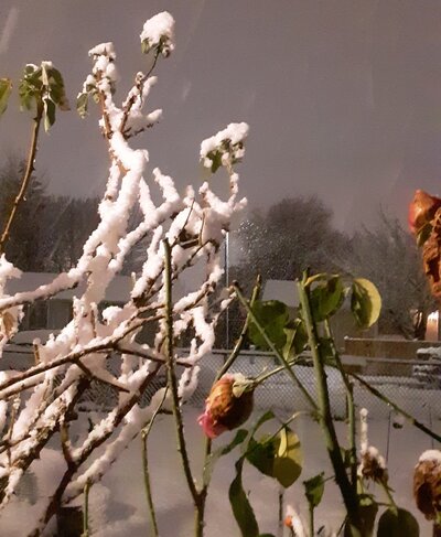 20211226_195845.jpg