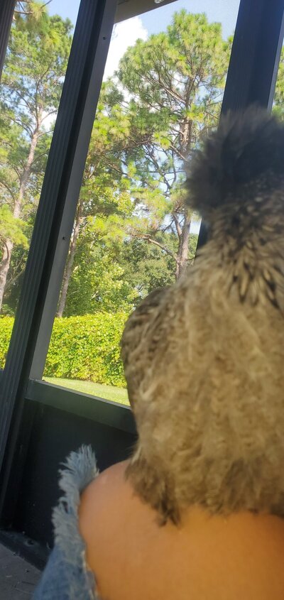 B4242F16-1B88-4993-8B02-65C5F8153792.jpeg