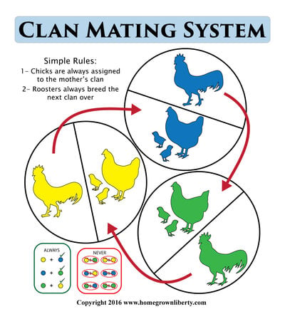Clan-Mating-System-Illustration-Large.jpg