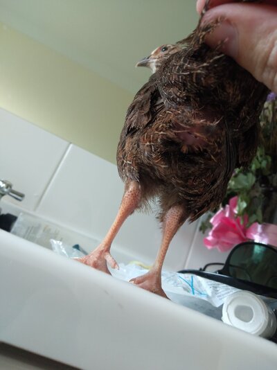 IMG20220102183132.jpg