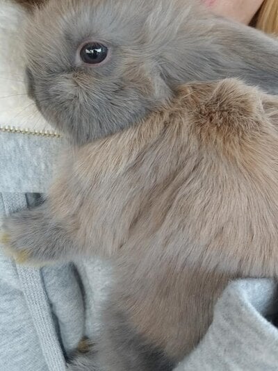 Winnie Close Up.jpg