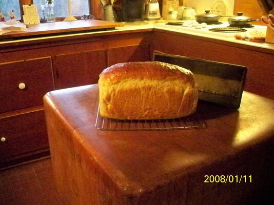 100_0408.JPG