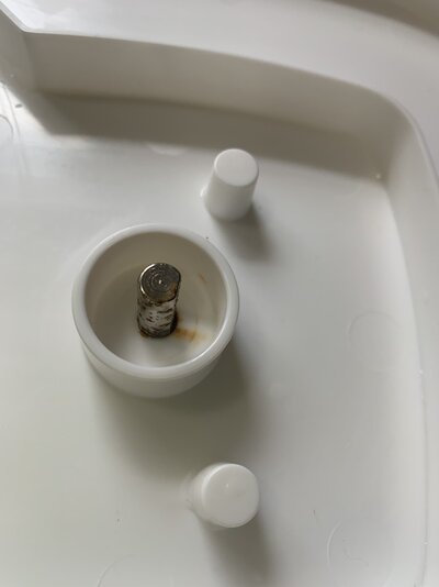 8B2AAD58-46C9-4F27-BA55-DC3452C409AC.jpeg