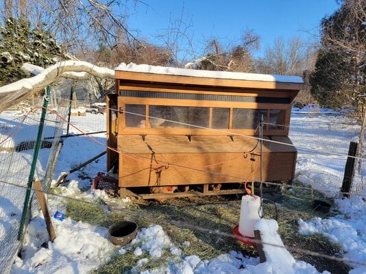 Winter warmth in Sun filled coop