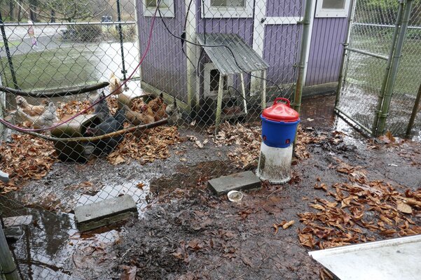 flood22-5.jpg