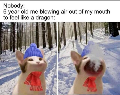 7B05E415-ACA7-4BC2-B6A8-0223EA9843D2.jpeg