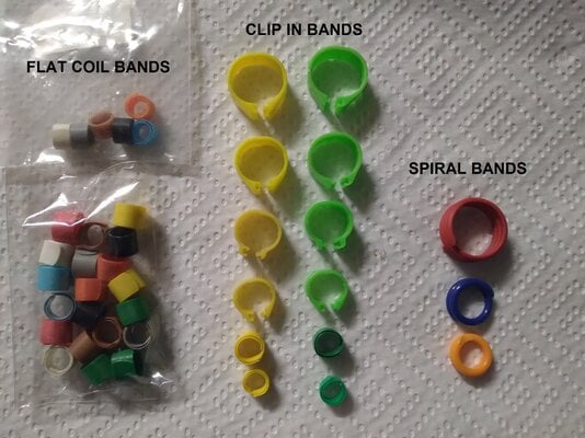 LEG BANDS.jpg