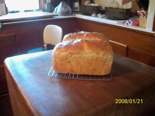 Sourdough Seeded 1.15.2022.JPG