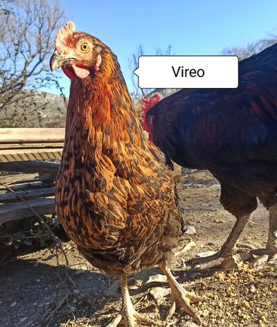 1642420095034-01.jpeg