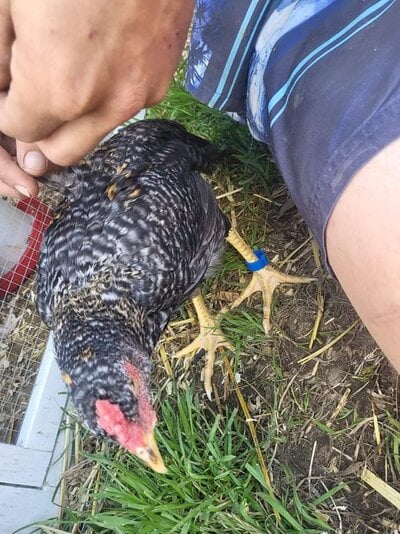 received_409658930847031.jpeg