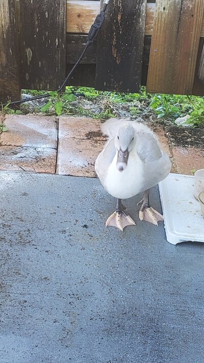 20220115_120744.jpg