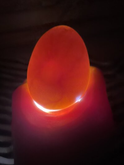 46509F29-EC22-4DEC-9FFF-6F48A0C9CA4F.jpeg