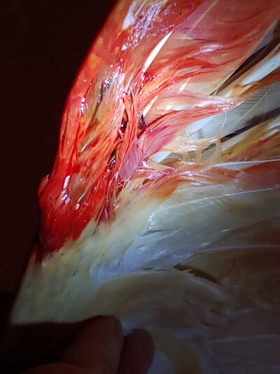 20220123_141307.jpg