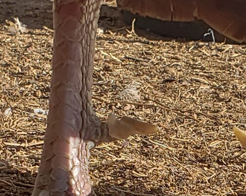 20220124_145954.jpg