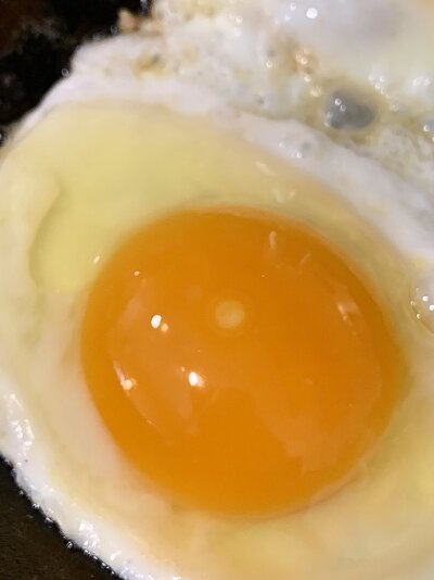 BA0CE57E-3E1E-44C1-9FFD-E9475DA302C5.jpeg
