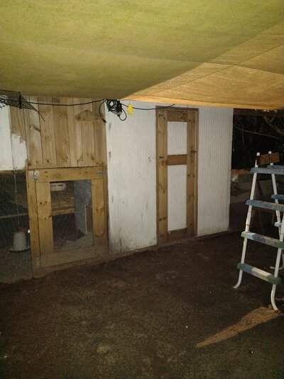 IMG_20220126_193926324.jpg