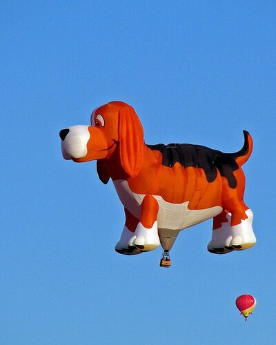 591b08dac47b60e182bbd699f79a9bcd--basset-hound-hound-dog.jpg