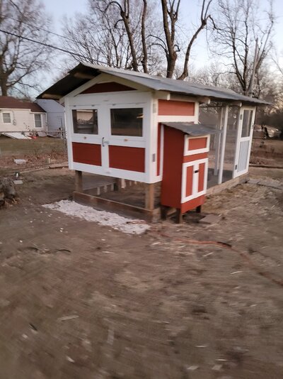 Nycole's 3 month chicken coop project