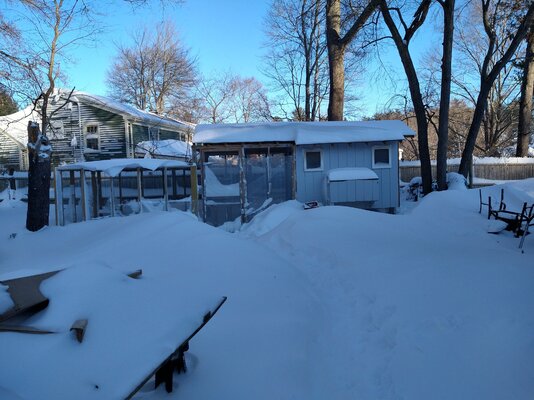 IMG_20220130_081941058_HDR.jpg