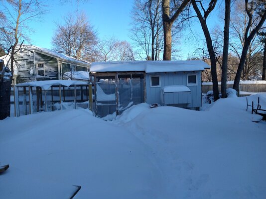 IMG_20220130_081952047_HDR.jpg
