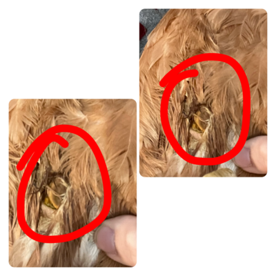46896B0C-0344-4667-BCB7-57083DE5D635.png