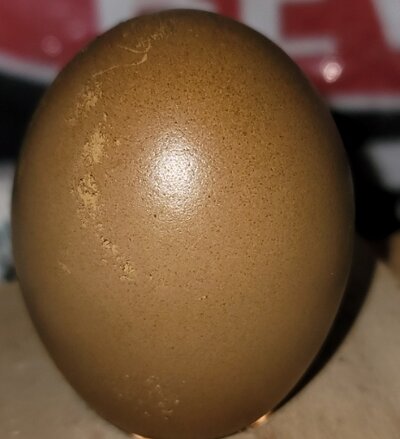 20220203_213505.jpg