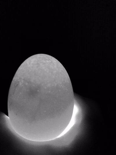 81C0B659-B046-4978-B780-22A23CABC2E2.jpeg