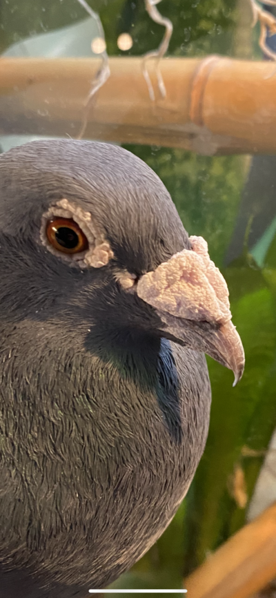 E5D216A4-1DD8-46D0-84F4-33E2304C3DD1.png