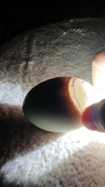 20220210_200150.jpg