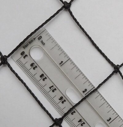 Netting.jpg
