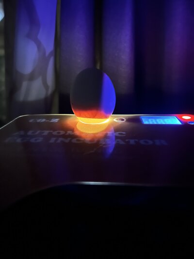 29EDFD42-0D07-40F7-A5ED-0C1052513BC0.jpeg