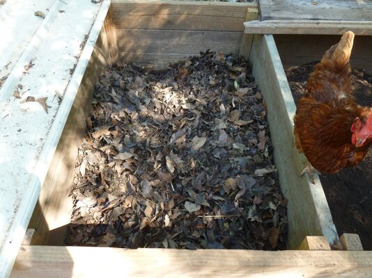 compost-new.JPG