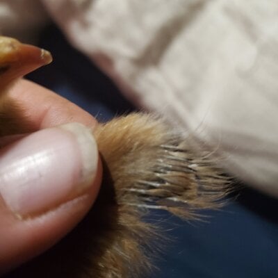 20220216_074637.jpg