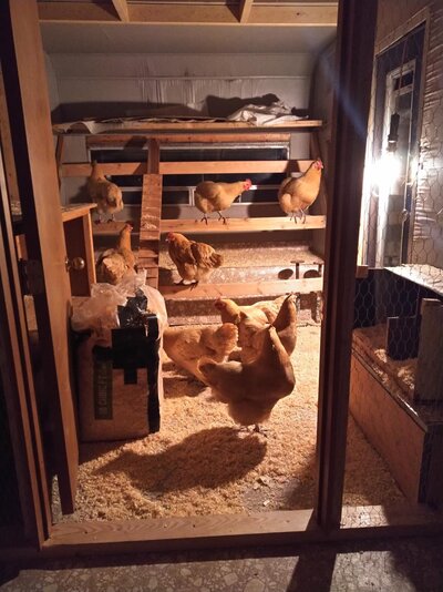 brisky canyon bnb.jpg
