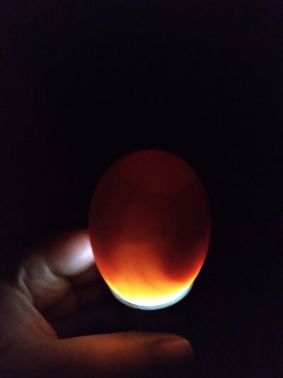 20220217_030135.jpg