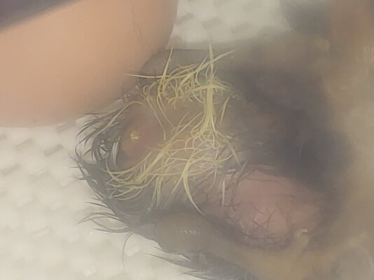 0219221346.jpg