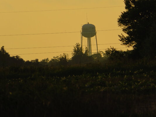 IMG_7917.JPG