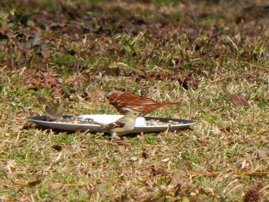 DSCN7641.JPG