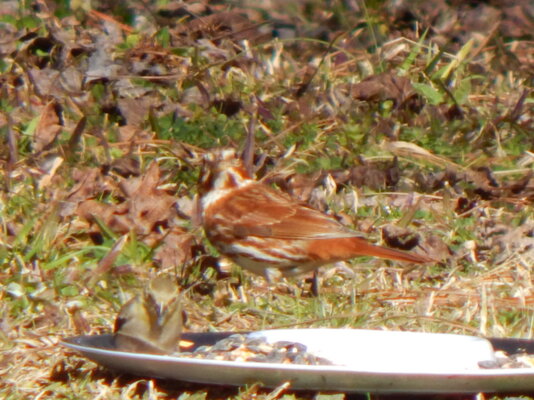 DSCN7644.JPG