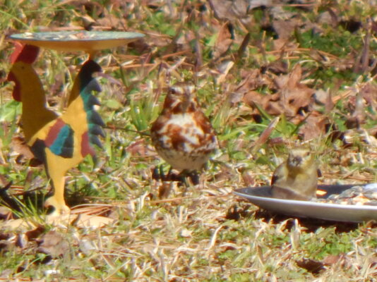 DSCN7645.JPG