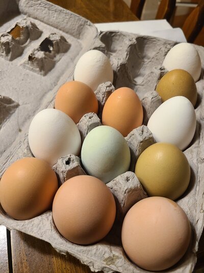 Eggs2.jpg