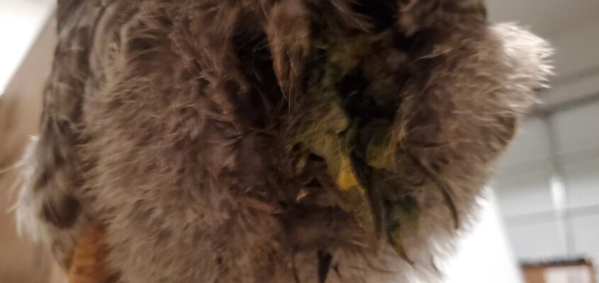 20220302_201051.jpg