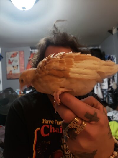 20220302_214406.jpg