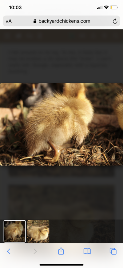 3A327EAE-7FC3-4E50-9082-EC4A14547626.png