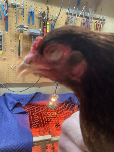 7E77CA41-54AF-4205-A062-54426E3251C4.jpeg