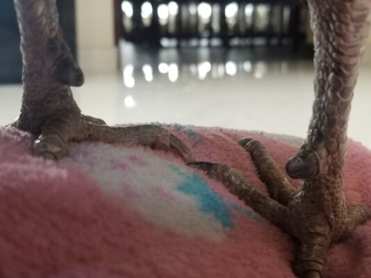 20220310_142744.jpg