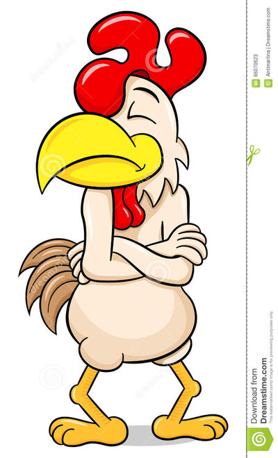 offended-cartoon-chicken-crossed-arms-vector-illustration-66070623.jpg