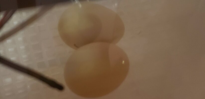 20220311_180050.jpg