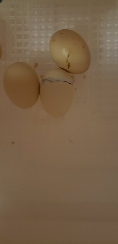 20220311_202124.jpg